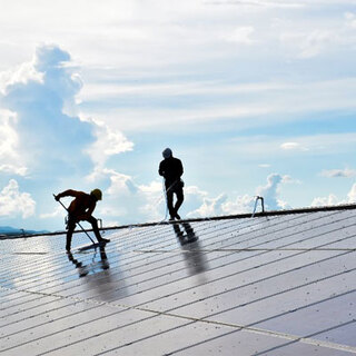 Limco Jardinería Limpieza