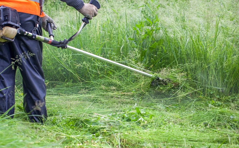 Jardinería para Empresas Limco