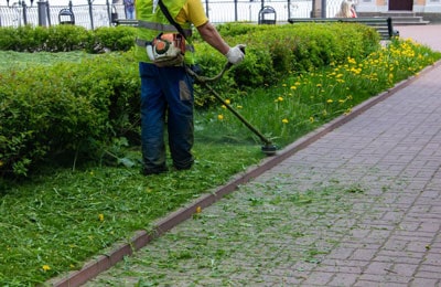 Empresa Jardinería Viviendas Comunidades Limco